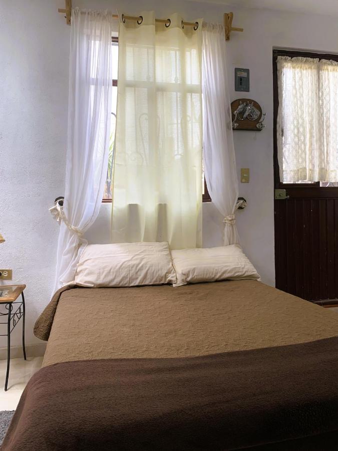 Noria House In Exhacienda La Escalera